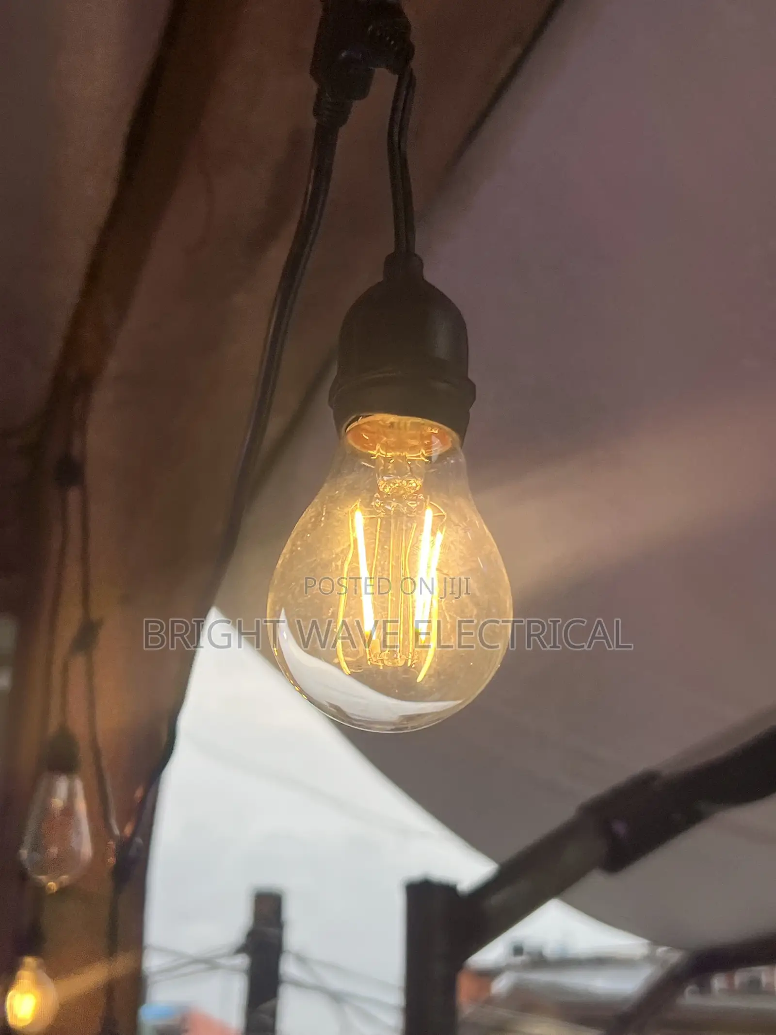 Filament Bulb