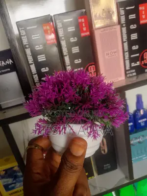 Aesthetic Flower Vase