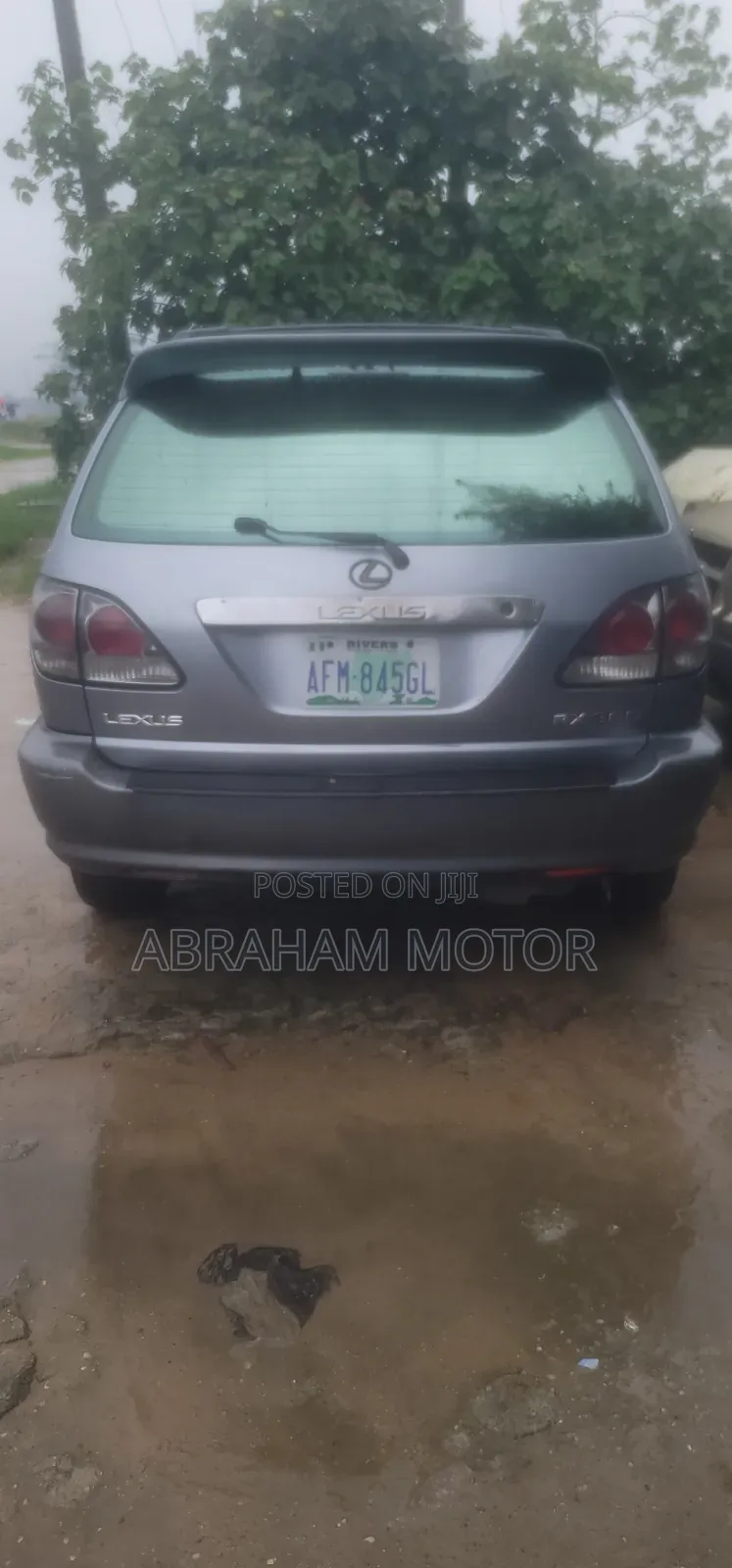 Lexus RX 2002 Silver