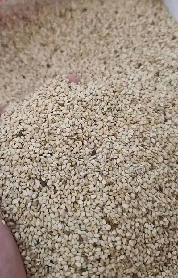 Sesame Seed