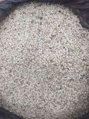 Sesame Seed