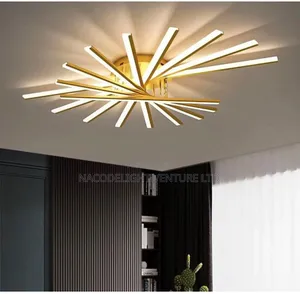 Led Indoor Ceiling Light