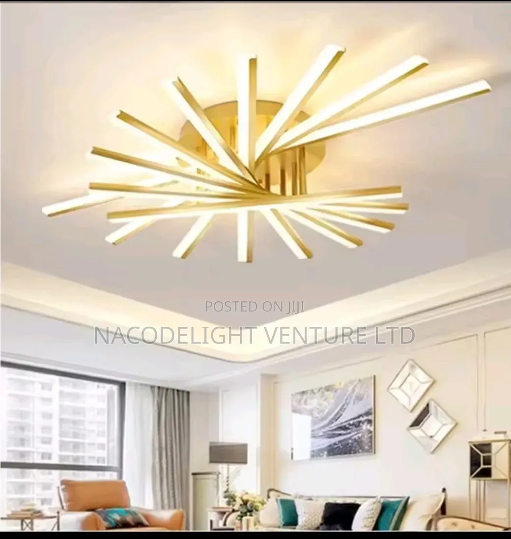 Led Indoor Ceiling Light