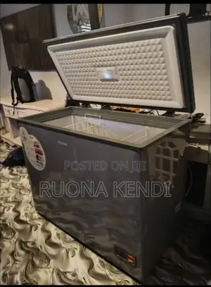 Ritek Deep Freezer