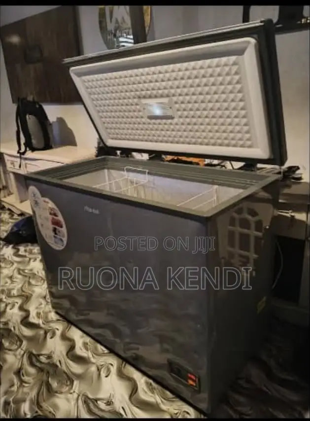 Ritek Deep Freezer