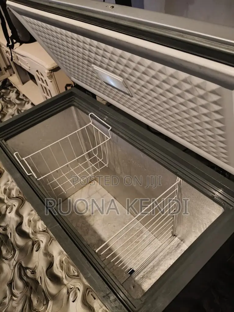 Ritek Deep Freezer