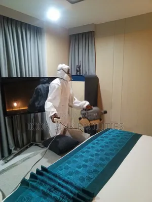 Fumigation and Bed Bugs Infestation