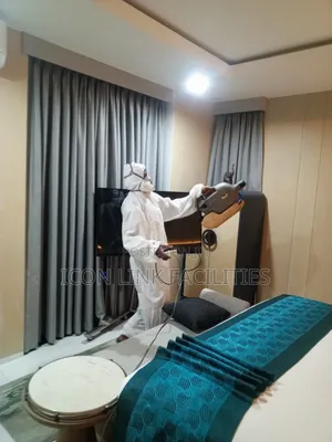 Fumigation and Bed Bugs Infestation