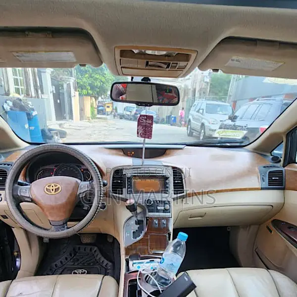 Toyota Venza 2010