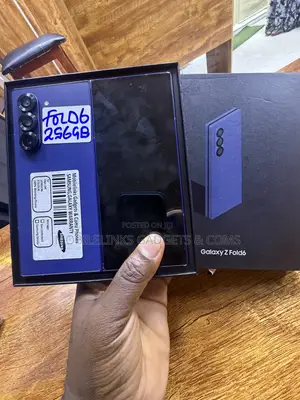 Samsung Galaxy Z Fold6 256 GB Blue