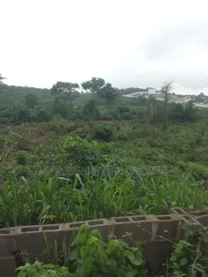 6 Plot of Land