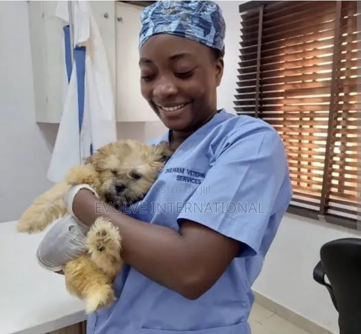 General Pet Care