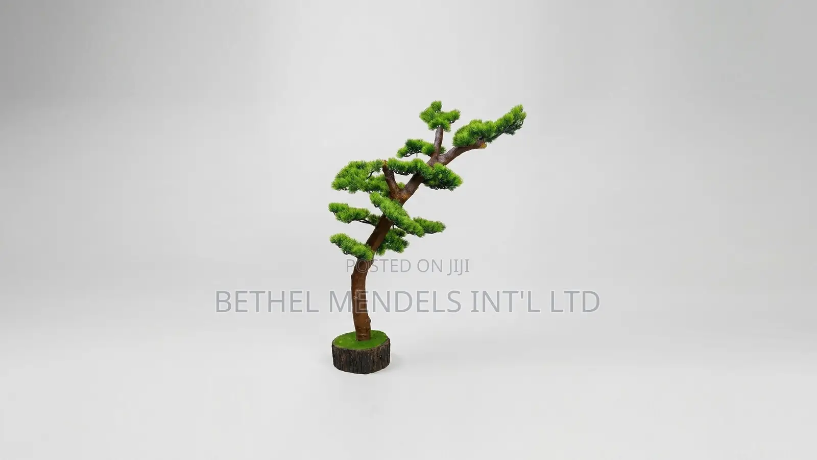 Unique Bonsai Tree With Elegant Artistic Design