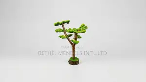 Unique Bonsai Tree With Elegant Artistic Design