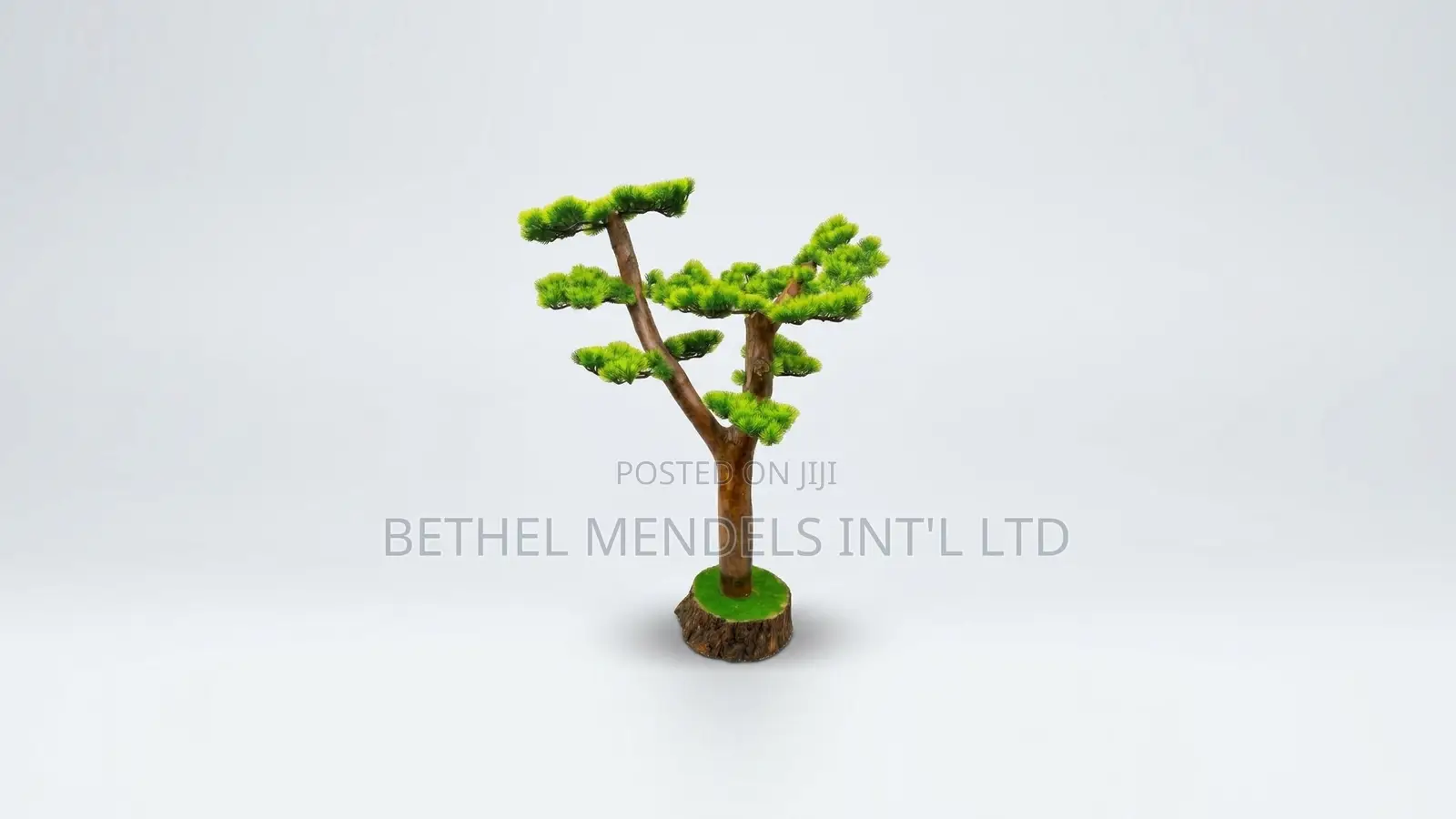 Unique Bonsai Tree With Elegant Artistic Design