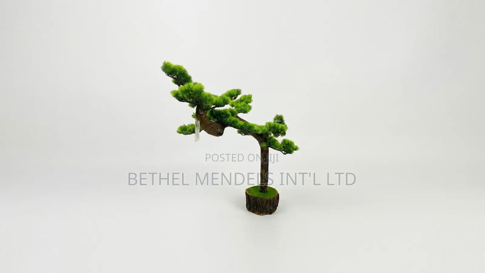 Unique Bonsai Tree With Elegant Artistic Design