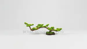 Unique Bonsai Tree With Elegant Artistic Design