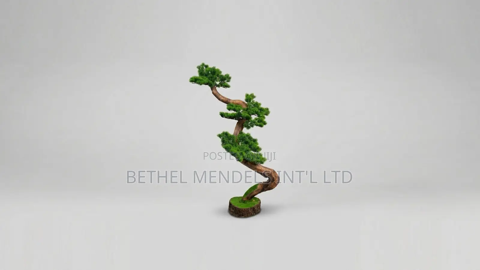 Unique Bonsai Tree With Elegant Artistic Design