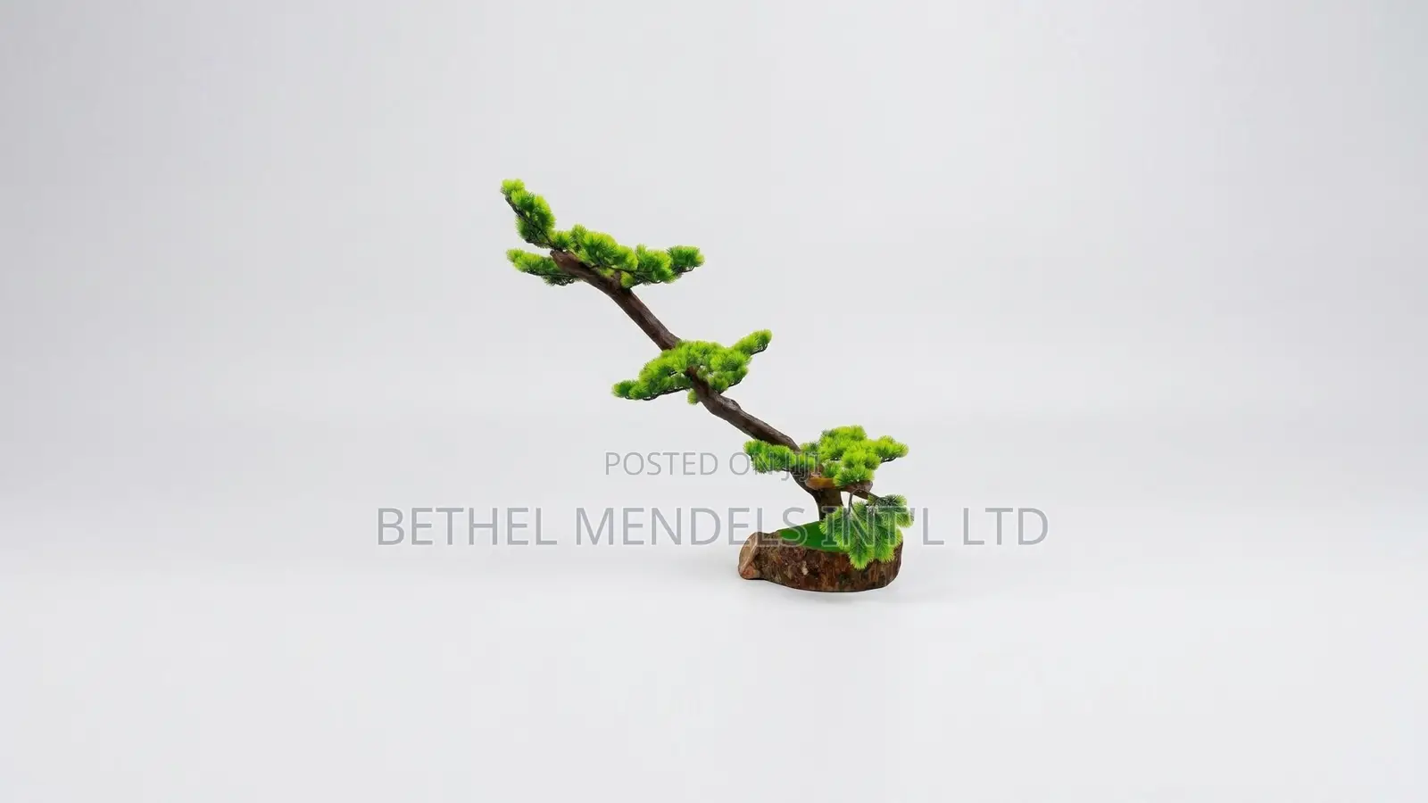 Unique Bonsai Tree With Elegant Artistic Design