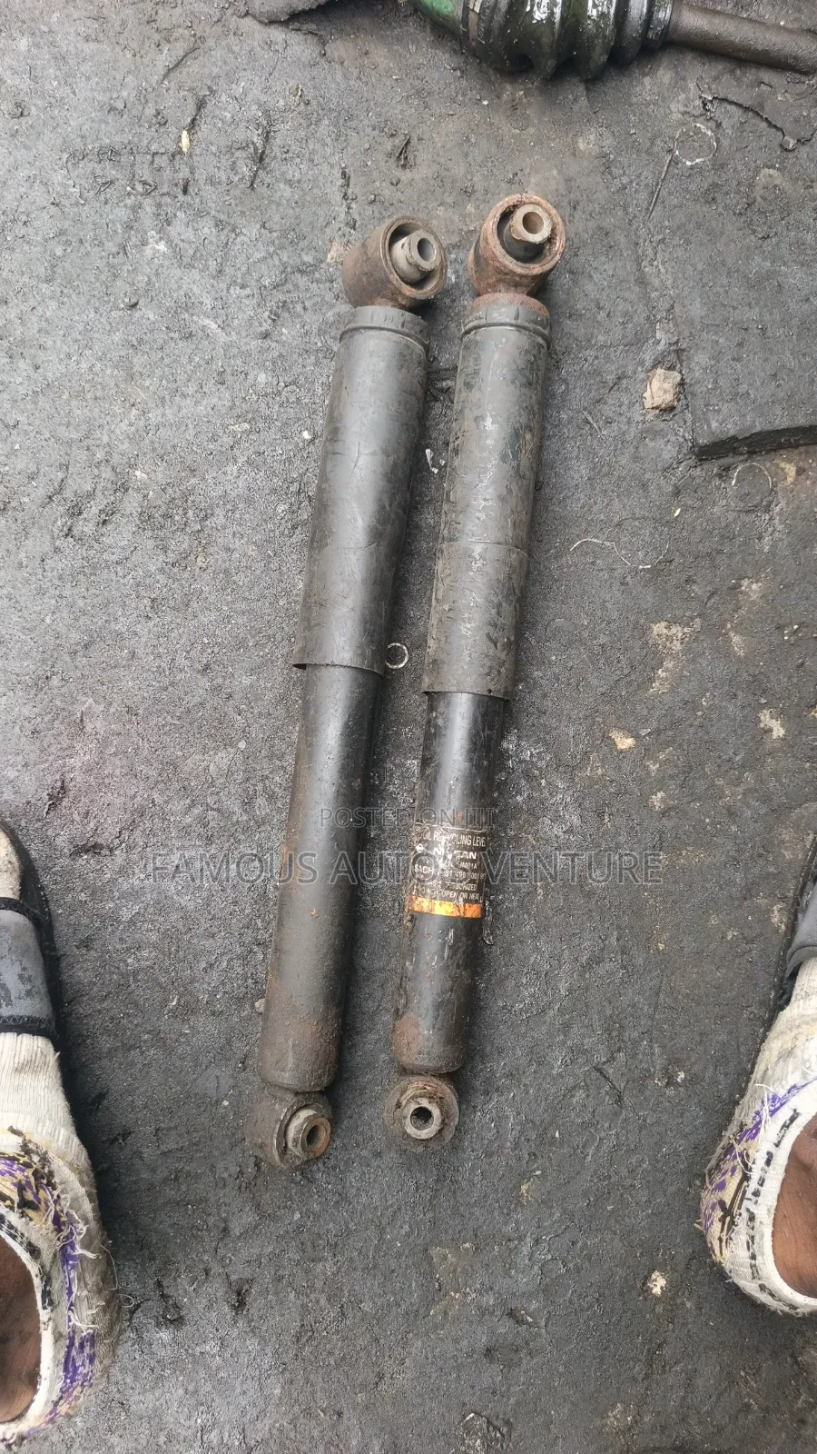 Shock Observer Nissan Rogue 2008 Back