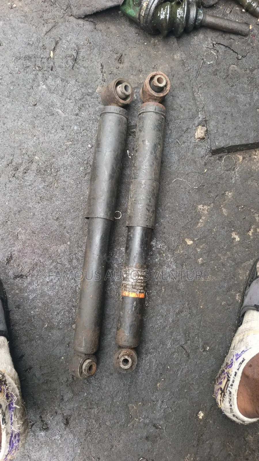 Shock Observer Nissan Rogue 2008 Back