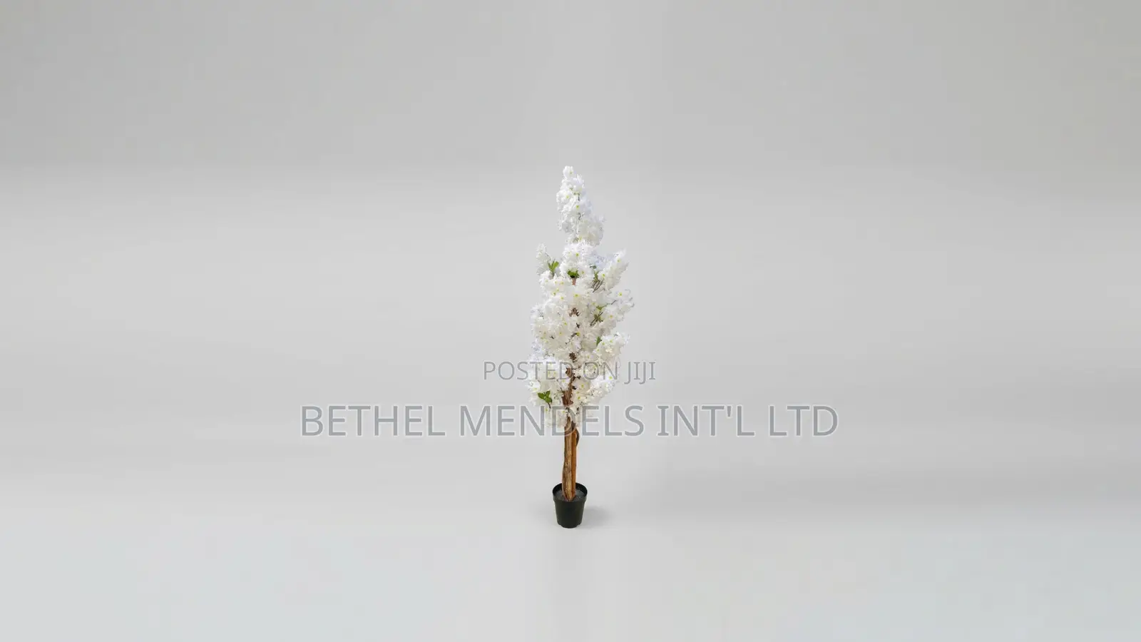 Cherry Blossom Tree - 165cm