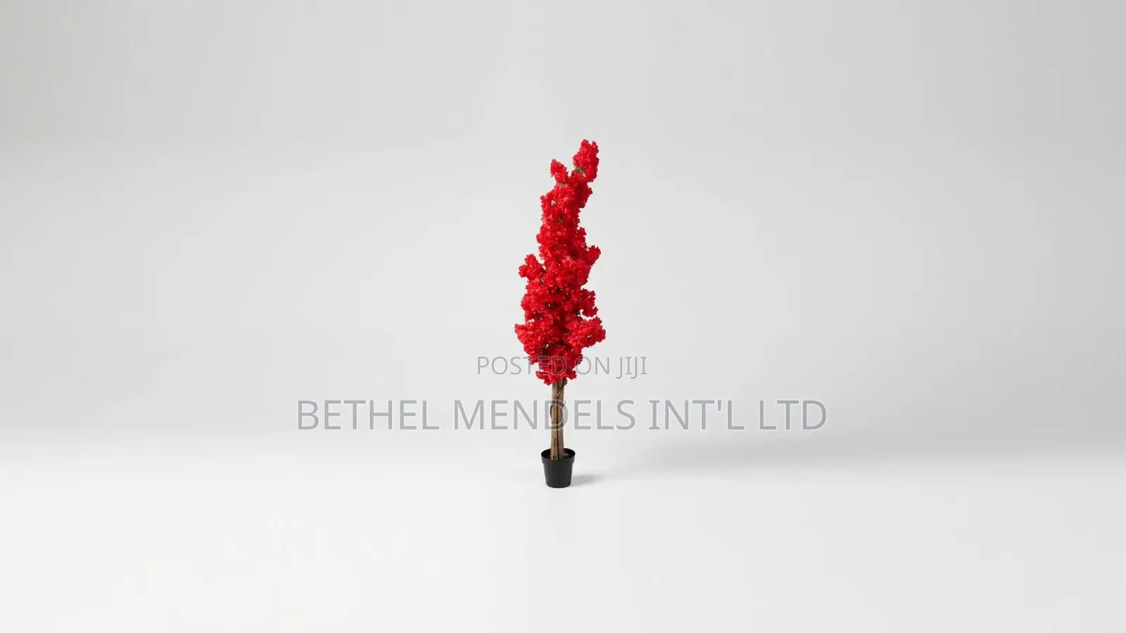 Cherry Blossom Tree - 165cm