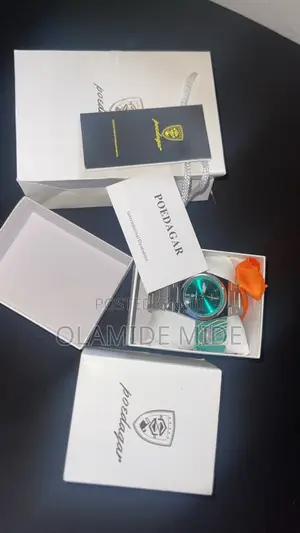 Brand New Poedagar Stainless Steel Wristwatch