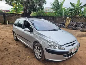 Peugeot 307 2005 Silver