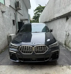 BMW X6 2023 Gray