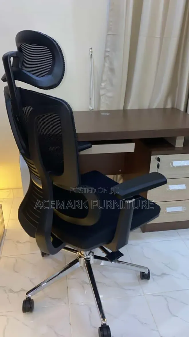 Executive Ergonomic Chair