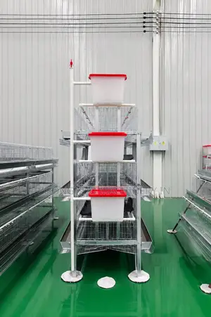 H-Type 3 Tires 96 Birds Capacity Layer Cages With Manure Tray