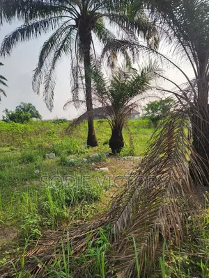 4 Plot of Land for Sale at Usiefurun Town