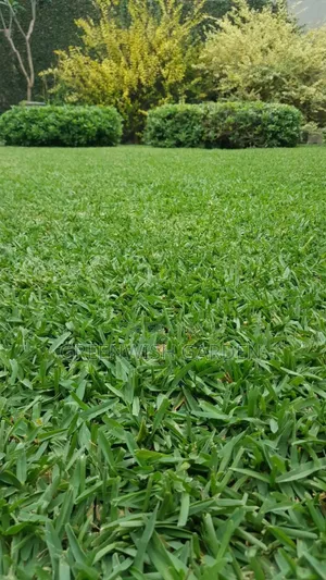 Garden and Landscaping
