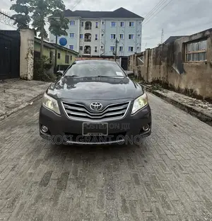 Toyota Camry LE 4dr Sedan (2.4L 4cyl 5A) 2009 Gray