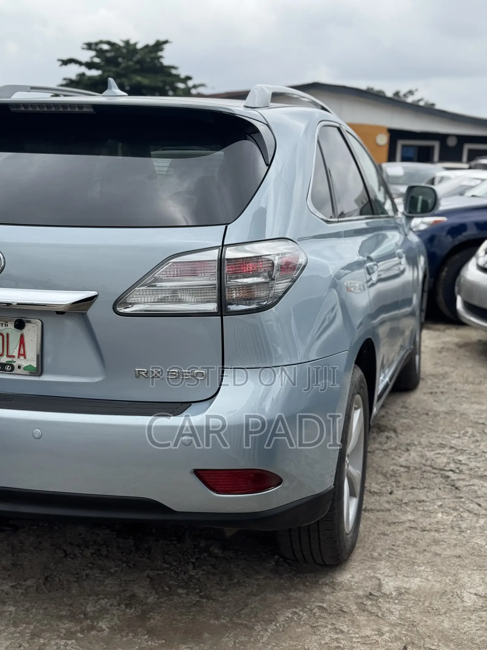 Lexus RX 2010 Blue
