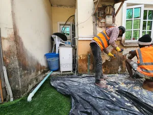 Mould Algae Mildew Treatment