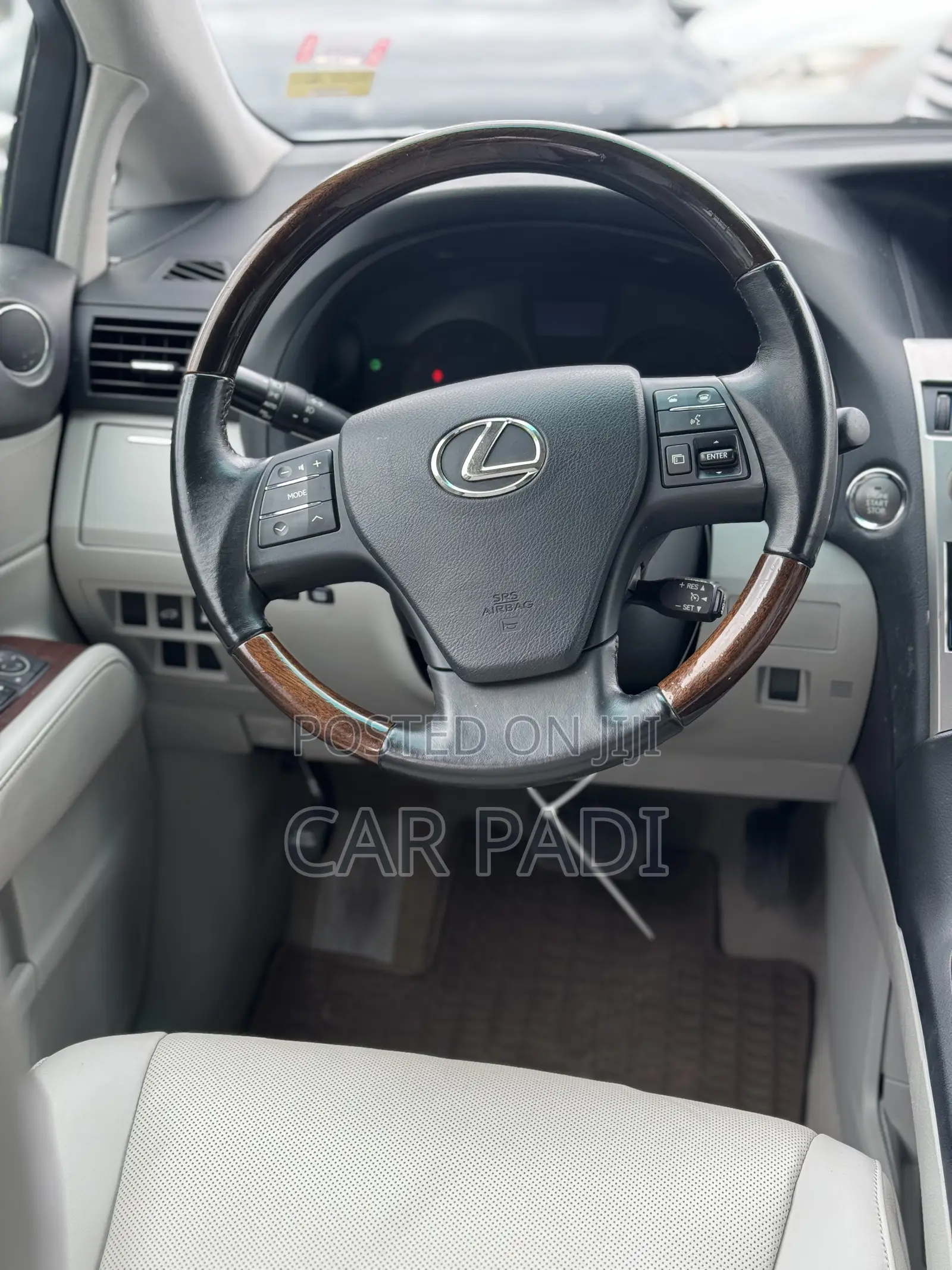 Lexus RX 2010 Blue