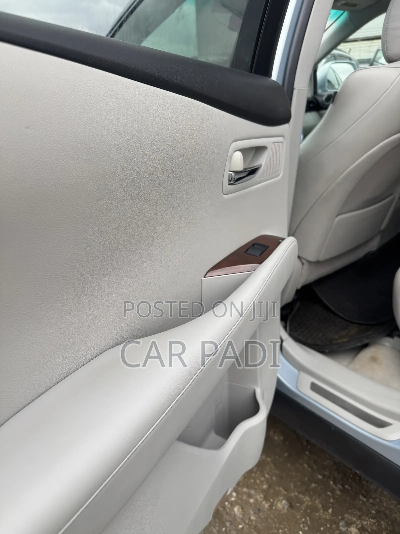 Lexus RX 2010 Blue