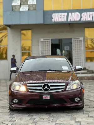 Mercedes-Benz C300 2010 Purple