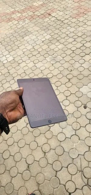 Apple iPad mini 5 64 GB Gray