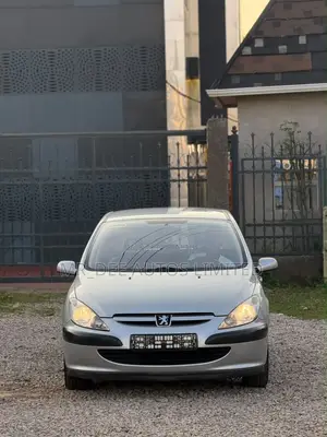 Peugeot 307 2008 Silver