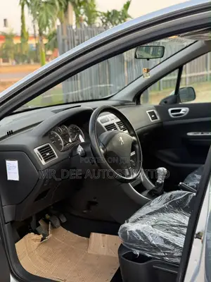 Peugeot 307 2008 Silver