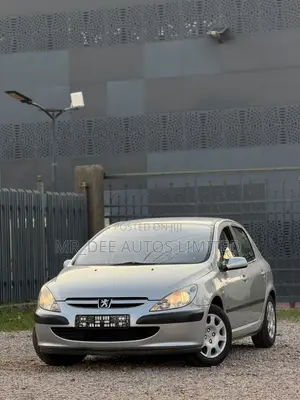 Peugeot 307 2008 Silver