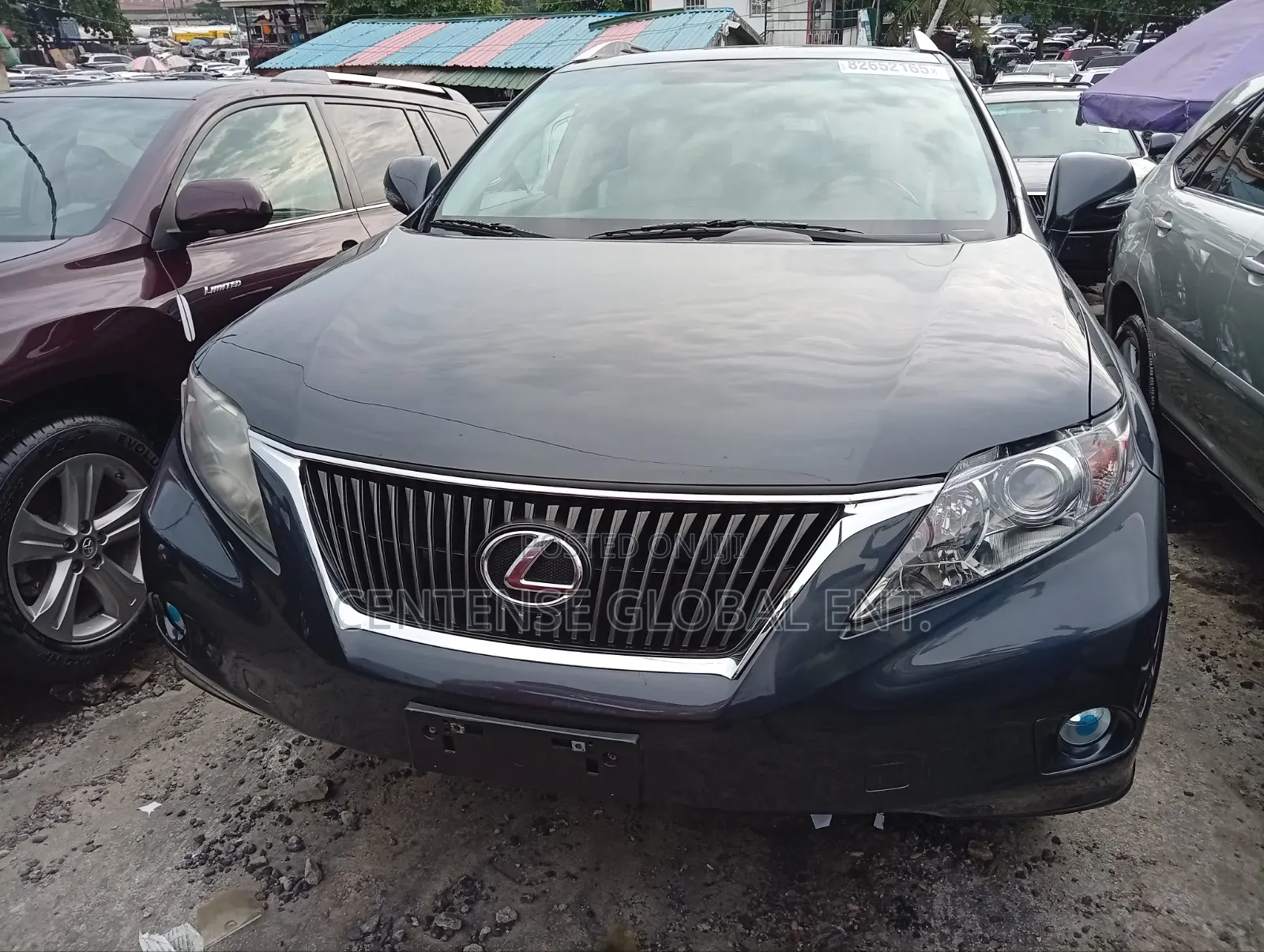 Lexus RX 2010 Gray
