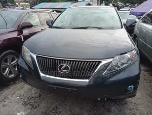 Lexus RX 2010 Gray