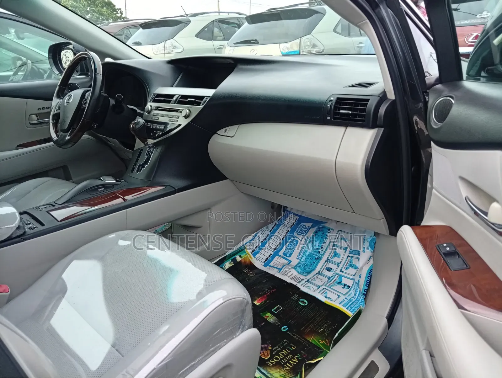 Lexus RX 2010 Gray