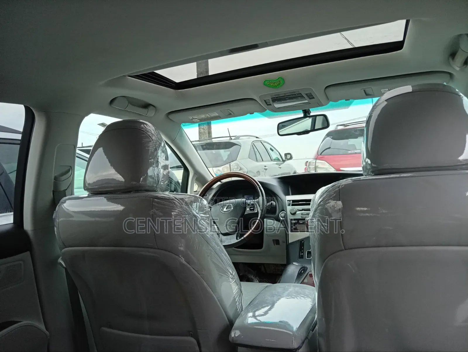 Lexus RX 2010 Gray
