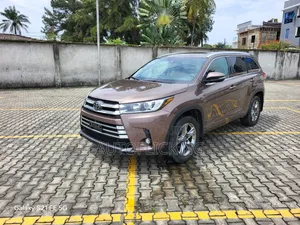 Toyota Highlander 2019 Brown