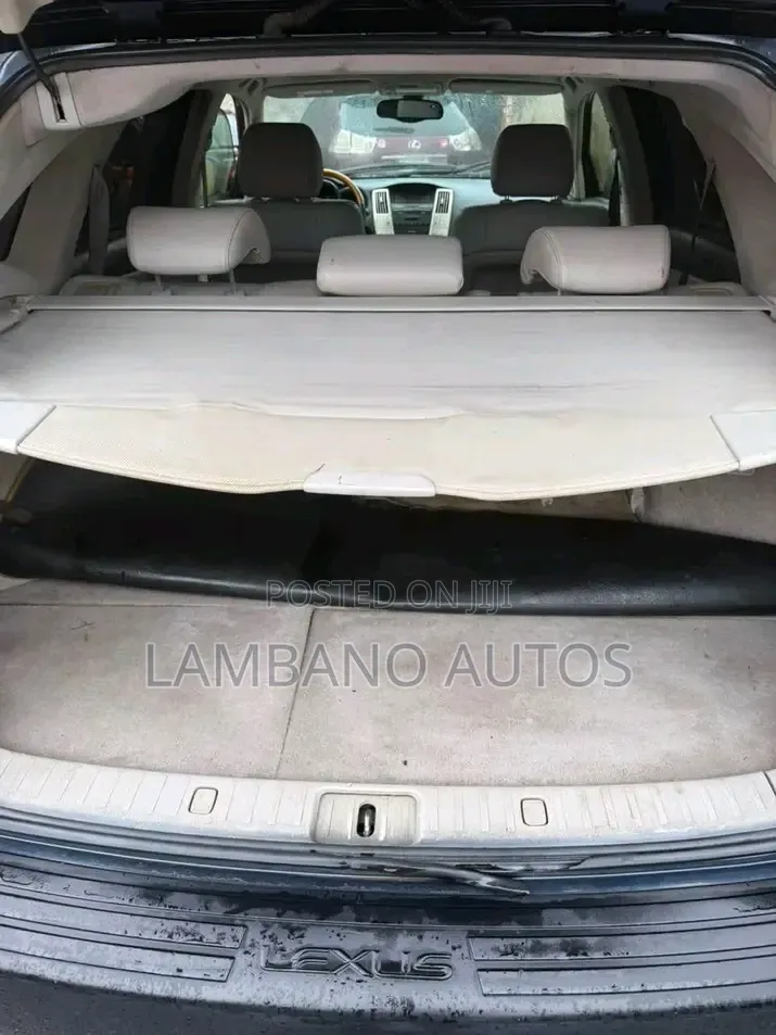 Lexus RX 2005 Blue